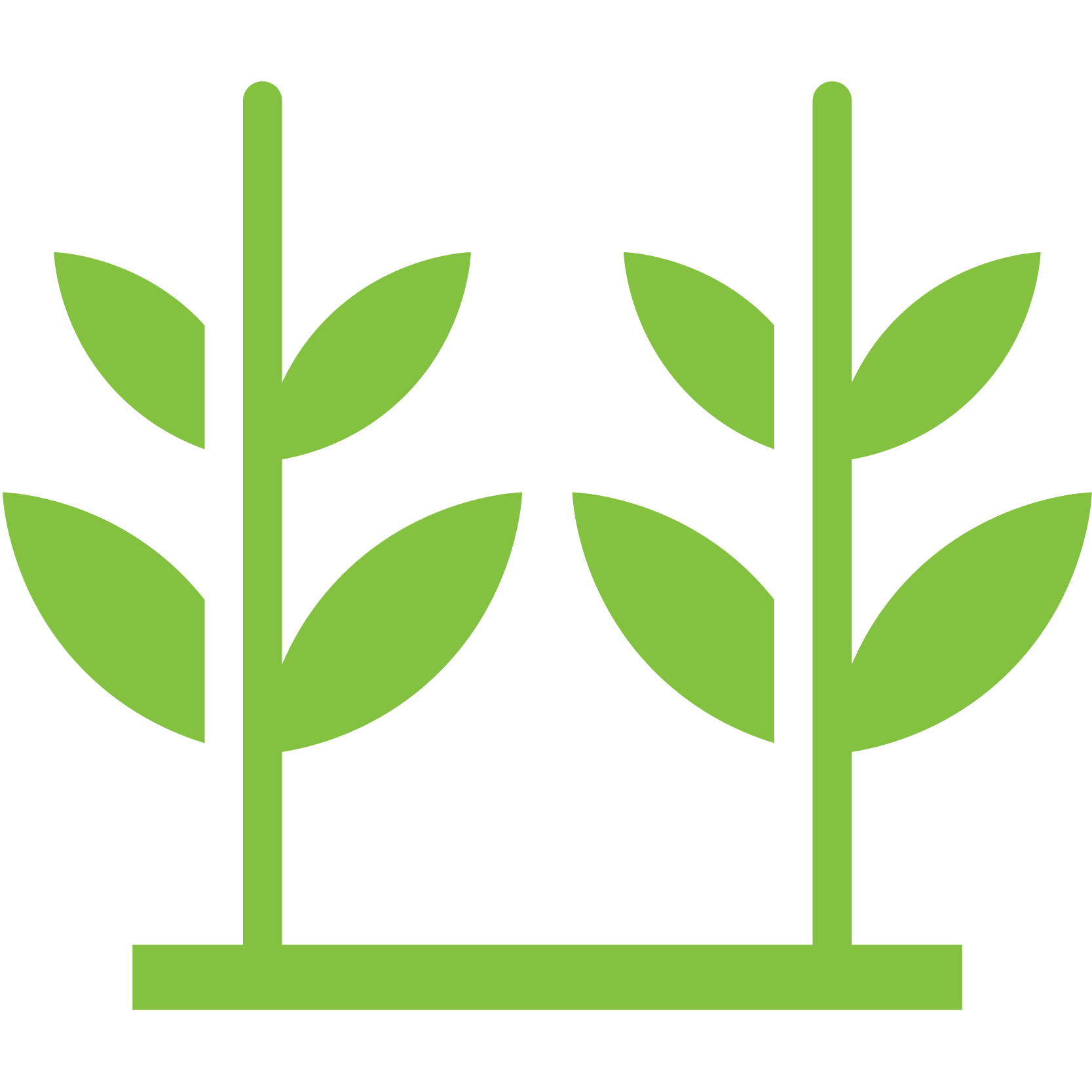 Agricultura, Cultivos, plagas,  DIOCROP, Ibagué, Tolima, Colombia